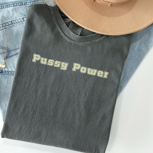 Pussy Power Shirt, Feminist Graphic Tee, Bold Comfort Colors Shirt, Text Only Statement Tee, Sassy Political Shirt for Women