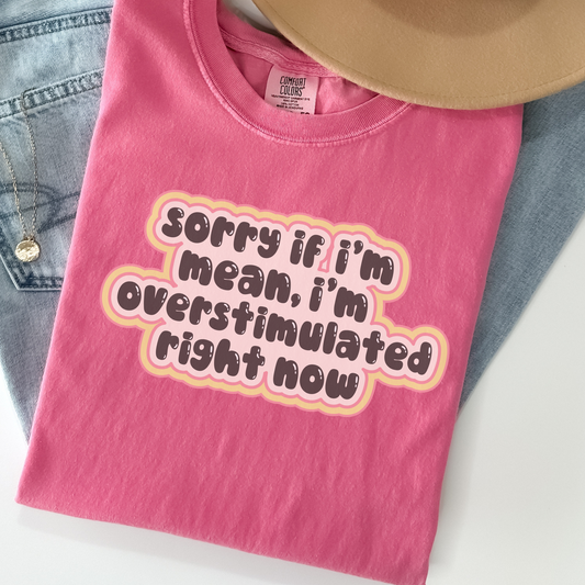 Sorry If I’m Mean, I’m Overstimulated Tee – Funny Mental Health Graphic Shirt, Comfort Colors, Therapy Humor T-Shirt
